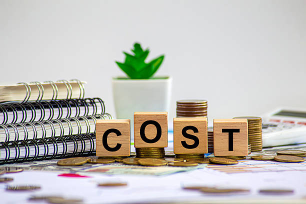 How Much Does Company Registration in India Cost?